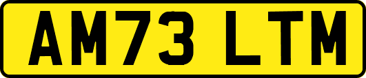 AM73LTM