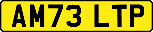 AM73LTP