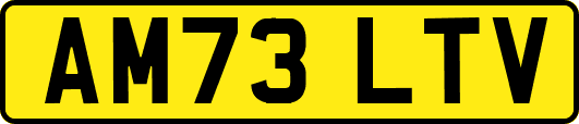 AM73LTV