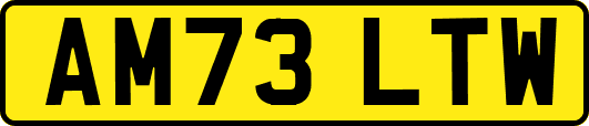 AM73LTW