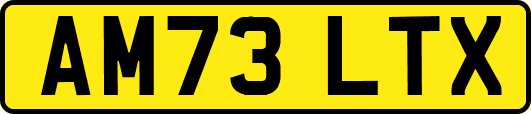 AM73LTX