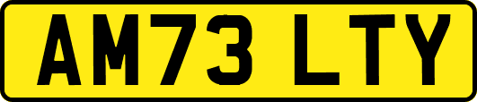 AM73LTY