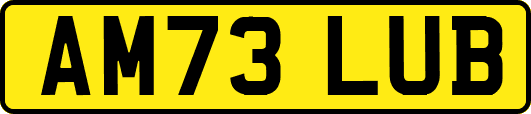 AM73LUB