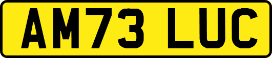 AM73LUC