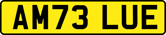 AM73LUE