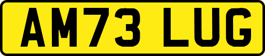 AM73LUG