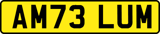 AM73LUM