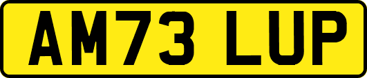 AM73LUP