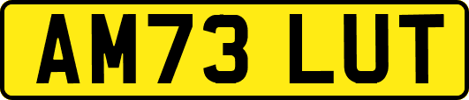 AM73LUT