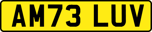 AM73LUV