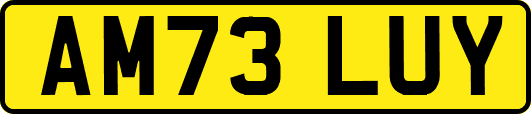 AM73LUY