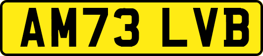 AM73LVB