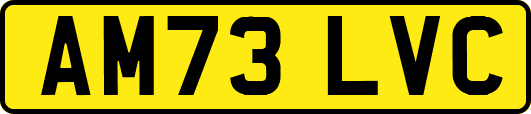 AM73LVC
