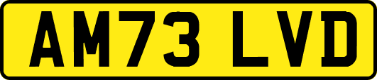 AM73LVD