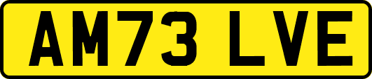 AM73LVE