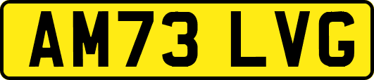 AM73LVG