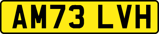 AM73LVH