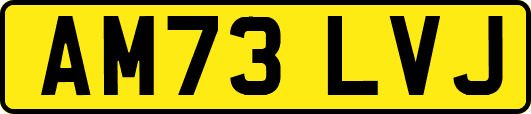 AM73LVJ