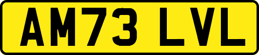 AM73LVL