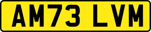 AM73LVM