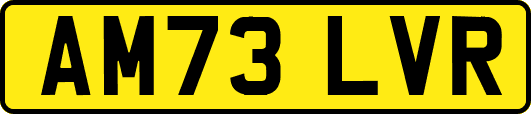 AM73LVR
