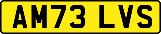 AM73LVS
