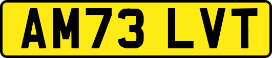 AM73LVT