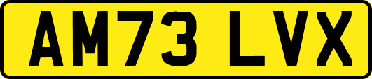 AM73LVX