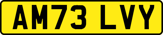 AM73LVY
