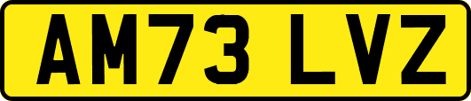 AM73LVZ