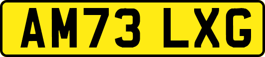 AM73LXG