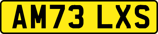 AM73LXS
