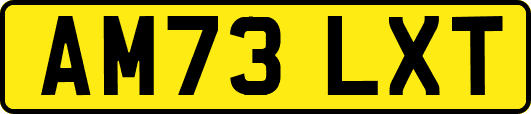 AM73LXT