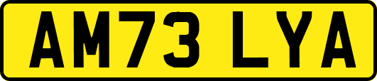 AM73LYA