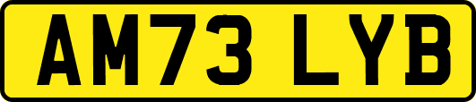 AM73LYB