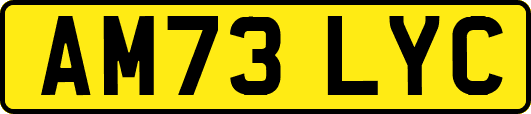 AM73LYC