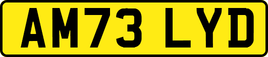 AM73LYD