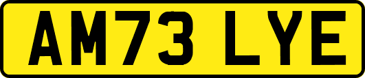 AM73LYE