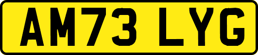 AM73LYG