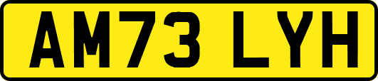 AM73LYH