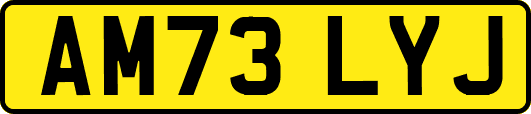 AM73LYJ