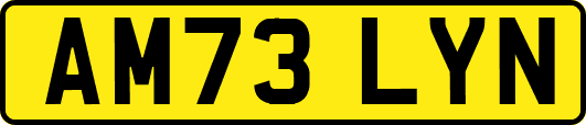 AM73LYN