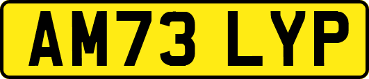 AM73LYP