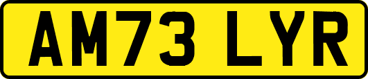 AM73LYR
