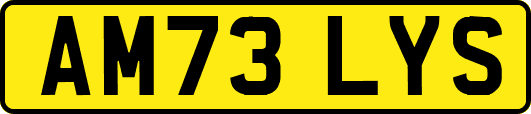 AM73LYS