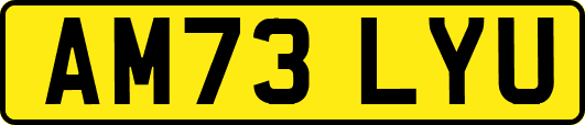 AM73LYU