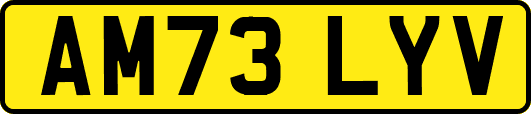 AM73LYV
