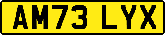 AM73LYX