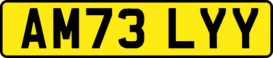 AM73LYY