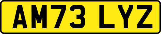 AM73LYZ